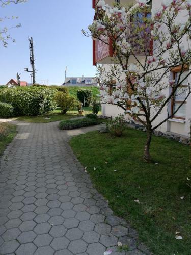 Apartamento Ferienwohnung Am Bodensee