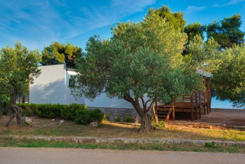Hotel Mobile Home Pirovac 31