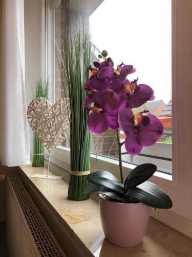 Apartamento Ferienwohnungen Mond&wasser Whg 4