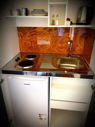 Apartment Renate
