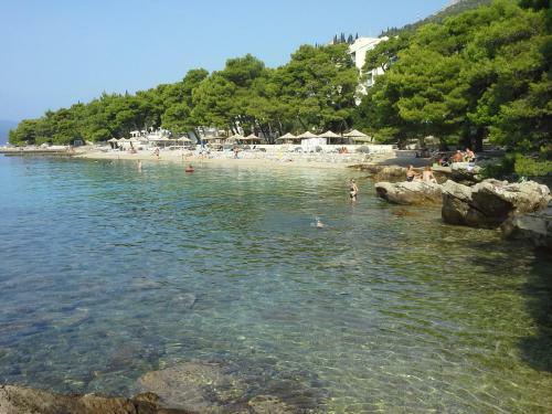 Apartamentos Sanja M 1