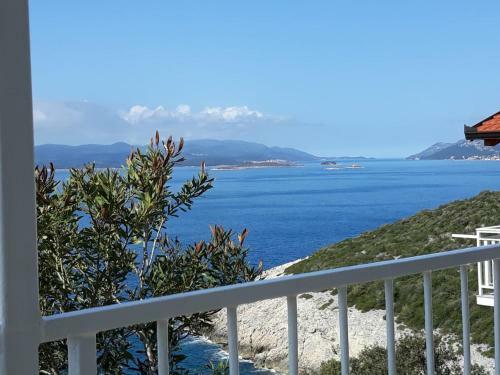 Apartman Antunovic