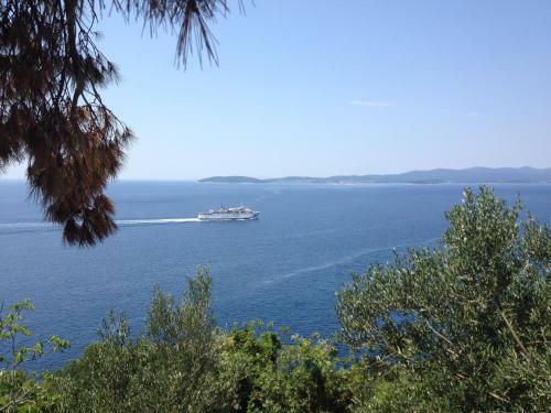 Apartman Antunovic