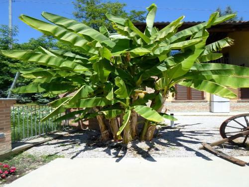 Bed & Breakfast Affittacamere Ca' Del Crutin