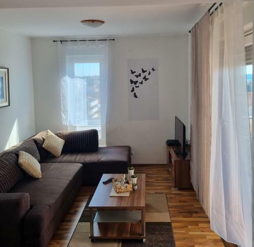 Luka Apartman Pako?tane