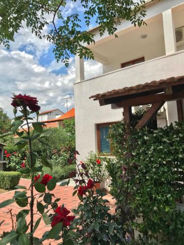 Apartmani Tina