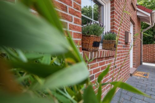 Apartamento K�je No. 6