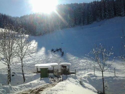 Hostal Pension Waldfrieden