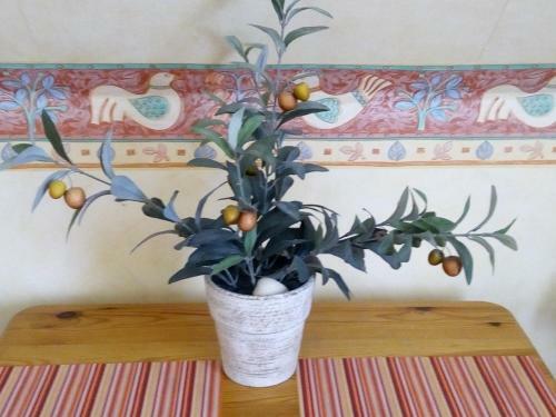 Apartamento Haus Ebeling