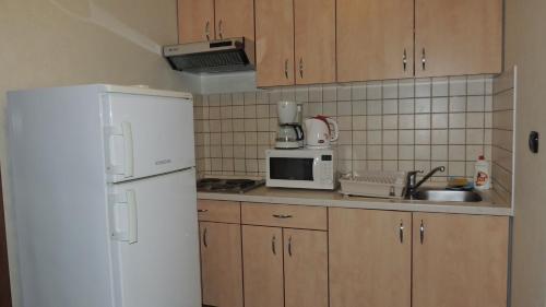 Apartment Elza