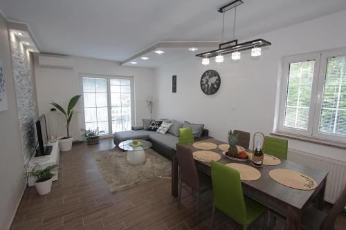 Apartment Cerovi?
