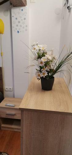 Apartmani Matija