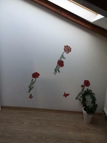 Apartmani Matija