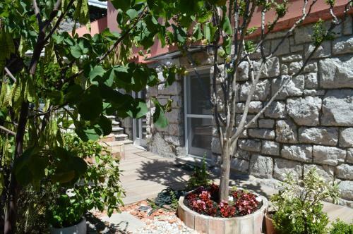 Beba's Garden Apartment