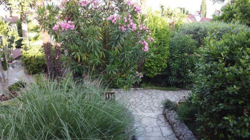 Beba's Garden Apartment