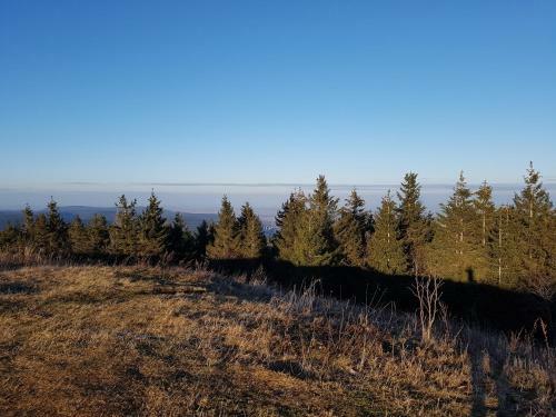 Apartamento Ferienwohnung Paula