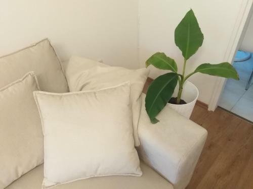 Modern Apartment Gabi