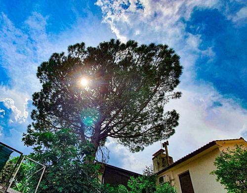 Apartment With Terrace - Gaia - Opatija - Center