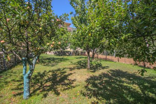 Apartament Green Valley