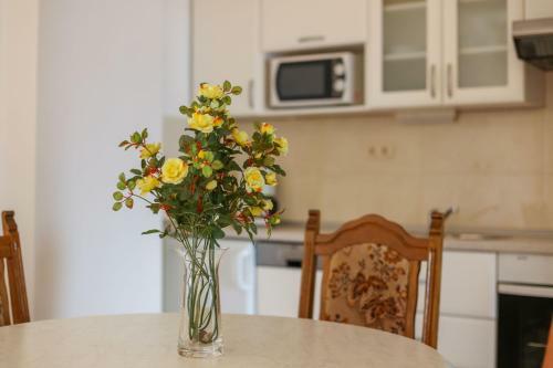 Apartamentos Villa Cetina