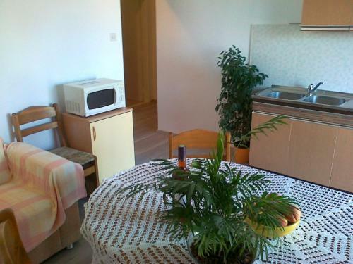 Apartman Ivica
