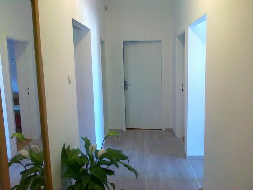 Apartman Ivica