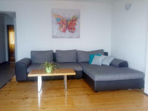 Apartments Ivka