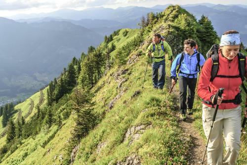 Apartamento Fewo "staufner Domizil" Oberstaufen