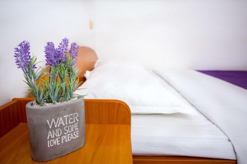 Hostal Aga Beach Suites