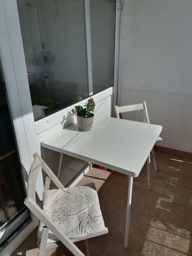 Apartman Nela