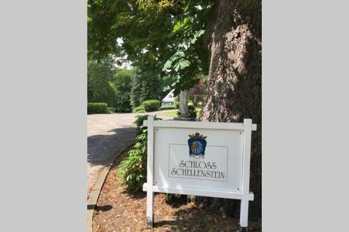 Apartamento Ferienwohnung ?forsthaus Bigge?