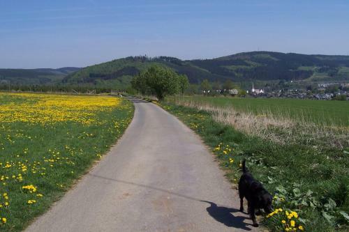 Apartamento Ferienwohnungen Sauerland Und Olsberg