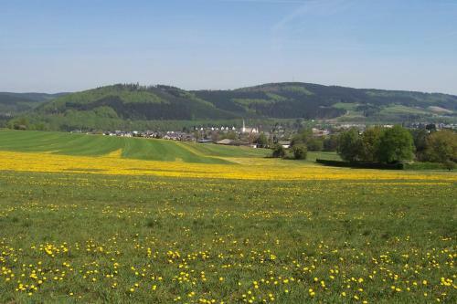 Apartamento Ferienwohnungen Sauerland Und Olsberg