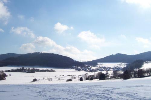 Apartamento Ferienwohnungen Sauerland Und Olsberg