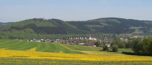 Apartamento Ferienwohnungen Sauerland Und Olsberg