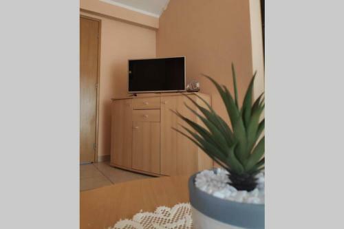 Apartman Barbara - Grad Pag