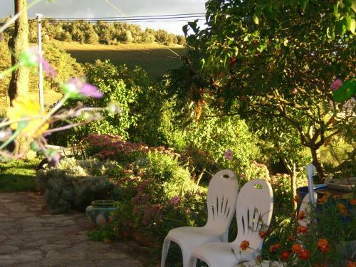 Bed & Breakfast Chez Louis