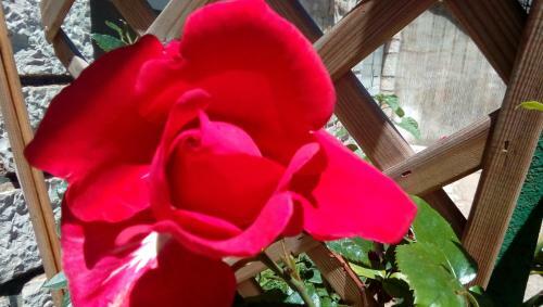 Bed & Breakfast Chez Louis