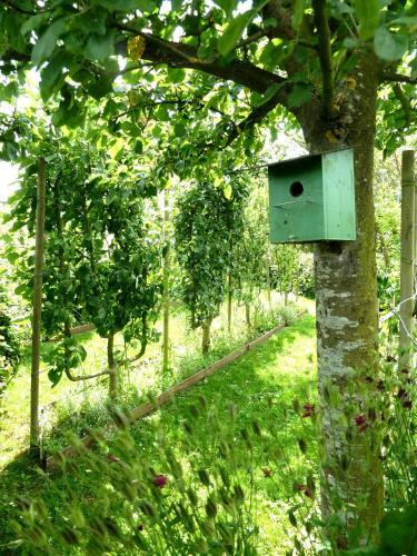 Bed & Breakfast La Parenth�se Normande