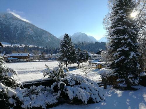 Apartamento Ferienwohnungen Alpentraum - Alpengr�n