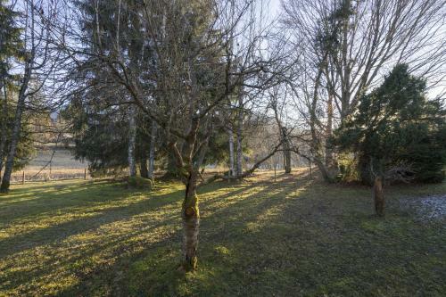 Apartamento Ferienwohnungen Alpentraum - Steinmandl