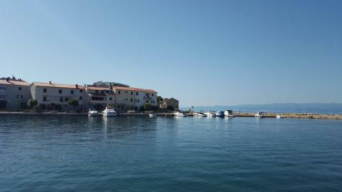 Apartment Porat