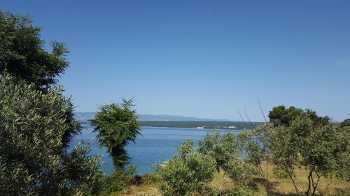 Apartment Porat