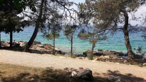 Apartmani Niessner