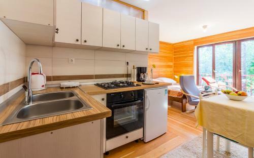 Studio Apartment Meden