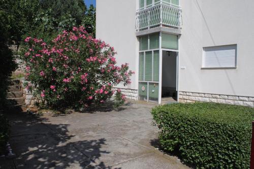 Apartments With Wifi Novi Vinodolski - 5583