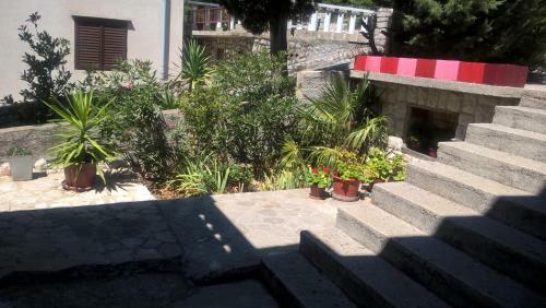 Apartman Nevija