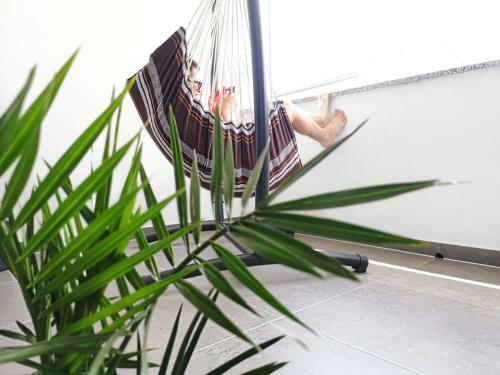 Apartment Beni