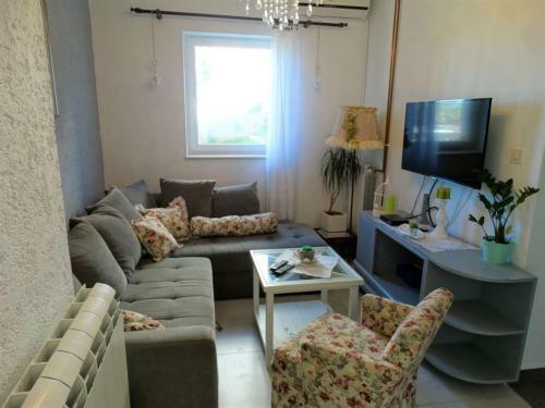 Apartment Radmi