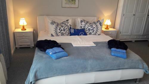 Hostal Villa Pintar